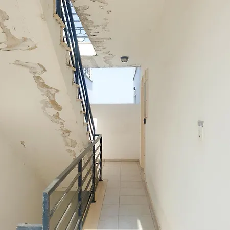 Palmove Tersefanou 201 Terszefánu
