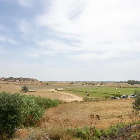 Palmove Tersefanou 201